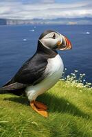 AI generated Puffin bird on a green grass patch. AI Generated photo