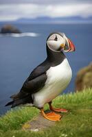 AI generated Puffin bird on a green grass patch. AI Generated photo