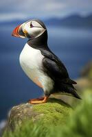 AI generated Puffin bird on a green grass patch. AI Generated photo