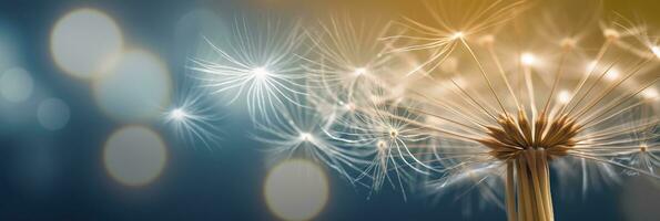 AI generated Abstract blurred nature background dandelion seeds parachute. Bokeh pattern. Generative AI photo