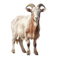 AI generated Goat isolated on transparent background, created with generative AI png