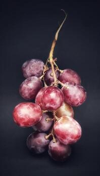 Close up view a sprig of grapes was photographed with the concept of giving a light effect to the grapes photo