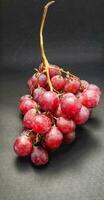 Portrait a sprig of vitis vinifera was photographed with the concept of giving a light effect to the grapes photo