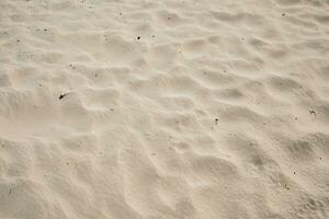 texture of natural brown sand beach photo