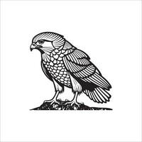 Red tailed-Hawk cartoon coloring page illustration vector for kids coloring book