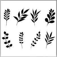 Botanical abstract line art, hand-drawn bouquets of herbs flowers branches vector