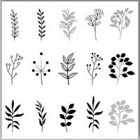 Botanical abstract line art, hand-drawn bouquets of herbs flowers branches vector