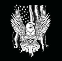 americano águila bandera andrajoso valores imágenes vector