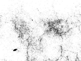 Grunge texture white and black vector