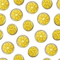 Lemon and lime seamless pattern in cartoon style. Slice citrus on a white background. Tropical fruits. Vector illustration.