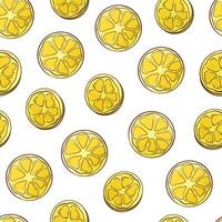 Lemon and lime seamless pattern in cartoon style. Slice citrus on a white background. Tropical fruits. Vector illustration.