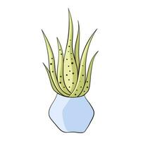 Aloe houseplant. Green plant in flowerpot. Home decoration. Aloe vera house plant in flower pot vector illustration on a white background.