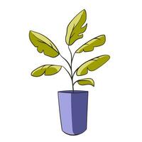 Doodle vector illustration of banana tree in a pot isolated on white background. Cartoon simple element of interior. For greeting card, poster, collage, wrapping, book illustration.