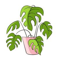 Monstera flat and line art style. Monstera, potted house plant, cartoon style. Trendy modern vector illustration isolated on a white background, hand drawn design.