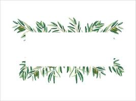 Horizontal frame, border with olive branches and green fruits. Watercolor hand drawn illustration. For cards, logos, banners, templates and cosmetic design. vector