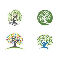 family tree logo template vector