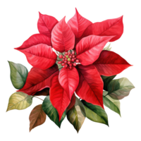 AI generated watercolor of a bunch of red poinsettias. AI generated image png