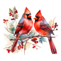 AI generated red cardinal sitting on a branch with berries. AI generated image png