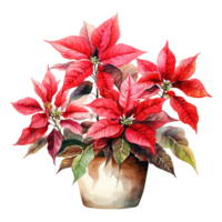 AI generated watercolor of a bunch of red poinsettias. AI generated image png