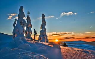 AI generated Enchanting Winter Moonrise, A Silent Symphony Over the Snowy Wilderness photo