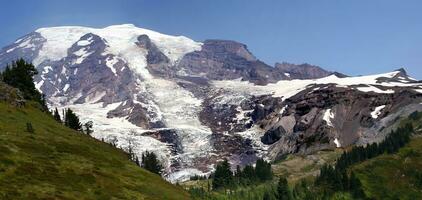 Mt. Rainier, with conifer forest photo