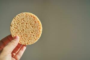 A large natural sponge in a womans hand. photo