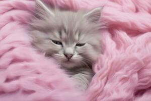 AI Generated a gray cute kitten peacefully dozes off on a soft pink blanket photo