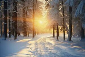 AI Generated a snowy forest adorned with sparkling snow, bathed in the gentle glow of sun rays. photo