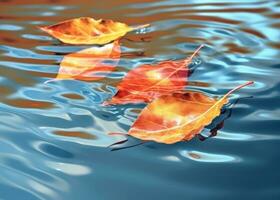 AI Generated Red gold amber leaves floating in a water photo