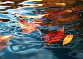 AI Generated Red gold amber leaves floating in a water photo