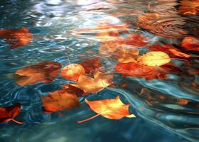 AI Generated Red gold amber leaves floating in a water photo