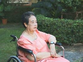 Happy Asian senior woman sitting on wheelchair  in the garden. photo