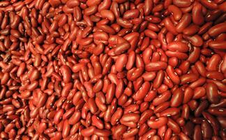 Scattered Red Beans Top View Texture Background photo