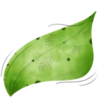 Lonely green leaf in the wind png