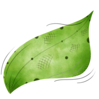 solitaire vert feuille dans le vent png