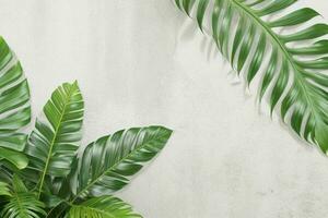 AI generated Empty wall background with tropical leaves. Pro Photo