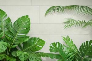 AI generated Empty wall background with tropical leaves. Pro Photo