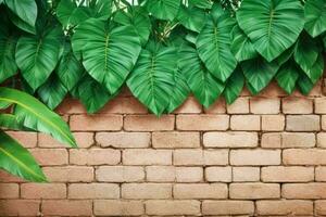 AI generated Empty wall background with tropical leaves photo