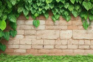 AI generated Empty wall background with tropical leaves photo