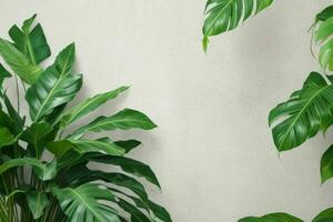 AI generated Empty wall background with tropical leaves photo