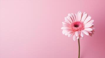 ai generado un soltero rosado gerbera flor en un rosado antecedentes foto