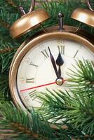 Christmas clock and fir branches photo