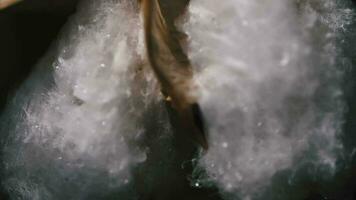 Cotton bud on dark background closeup video
