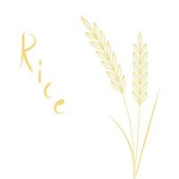 Rice symbol. Wheat symbol vector. wallpaper. logo design. vector