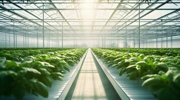 AI generated Fresh organic plant growth in modern greenhouse technology Ai Generated photo