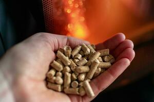 Hand holding pellets in front of the glass of a stove with a beautiful flame photo