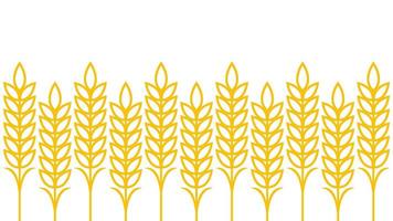 Wheat pattern wallpaper. oat symbol. free space for text. rice sign. Rice pattern wallpaper. vector