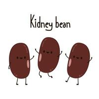 kidney bean on white background. kidney bean logo design. vector