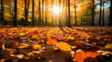 AI generated Autumn leaves in a forest with sunlight shining through, creating a serene and vibrant atmosphere. Generative AI photo