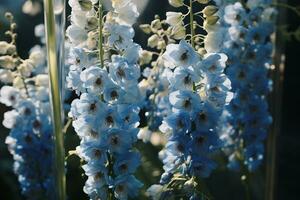 ai generado al aire libre flor antecedentes foto